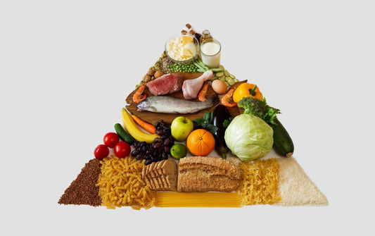 Food pyramid